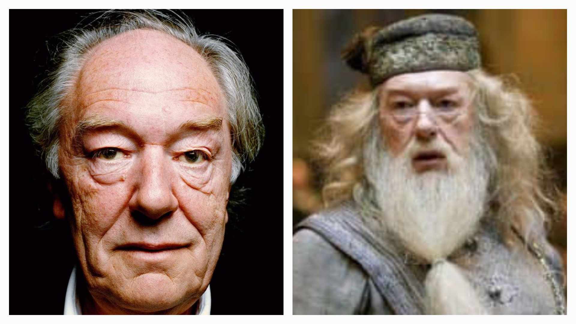 Michael Gambon Dumbledore Actor Passed Away