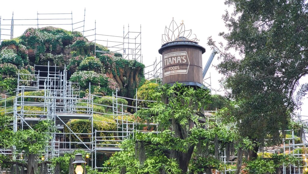 Construction Update From 'Tiana's Bayou Adventure' in the Magic Kingdom