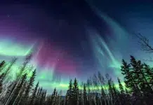You Can See The Northern Lights With Princess Cruises In 2024