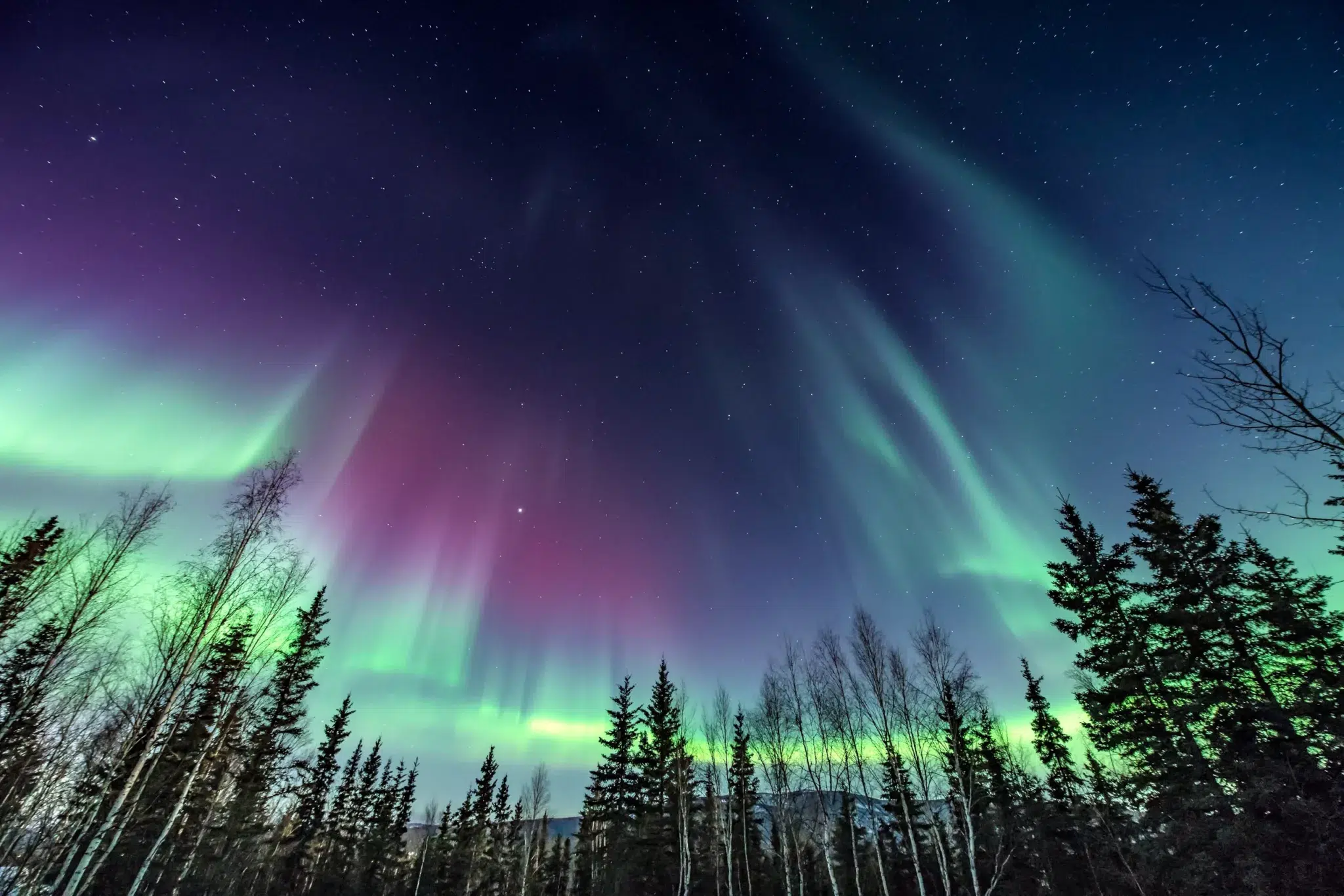 You Can See The Northern Lights With Princess Cruises In 2024